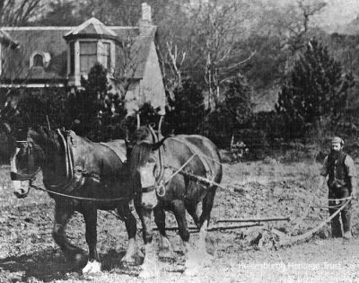 Ploughing
Charles McInnes, ploughman at Torr Farm, Rhu, is seen ploughing in front of Aros, Rhu. Image supplied by Marlyn Ritchie, his great grand-daughter.
