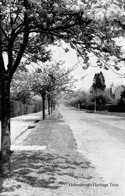 Colquhoun Street
Looking north up Colquhoun Street from above Argyle Street when the cherry blossom trees were in bloom. This 20th century image was published by Macneur and Bryden Ltd. of East Princes Street, publishers of the Helensburgh and Gareloch Times. Image date unknown.
