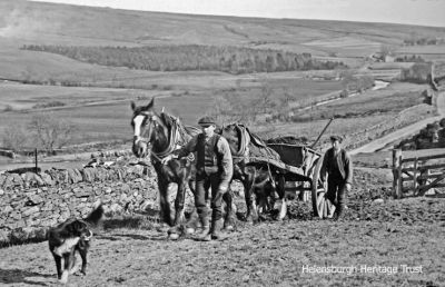 Farm workers
Photograph taken c.1913 probably by keen amateur photographer Robert Thorburn, a Helensburgh grocery store manager. It shows farm workers with a horse and cart at Duirlands Farm, Glen Fruin. Image supplied by David Clark from a collection of glass slides.
