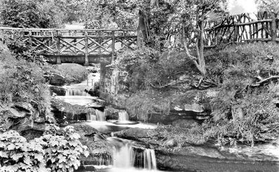 Hermitage Park waterfall
An attractive view of the waterfall in Hermitage Park, circa 1954.
