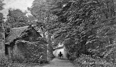 Old corn mill at Rosneath
Two children wait outside the old corn mill at Rosneath as a trap approaches. Image circa 1905.
