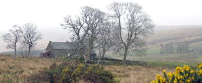 Tamnavoulin
The historic Glen Fruin cottage Tamnavoulin, pictured by Stewart Noble in 2015, the year it was bought for redevelopment. The name of the small cottage derives from the Gaelic for â€˜hill of the millâ€™. The vicinity of the cottage is thought to have been the site of a dwelling as far back as the 15th century, while one account gives the date of the present building as early 19th century.
