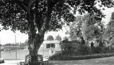 The Tree Seat
The Tree Seat in Hermitage Park with what looks like a grass tennis court in the background. The buildings to the left of the tree I may be part of Malig Mill, and if this is so it would date the photo to be before 1922.
Keywords: tree seat Hermitage park