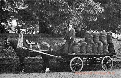 Coal from Spy
A horse and cart coal delivery from A. & R.Spy, Coal Merchants and Colliery Agents, of 25 Sinclair Street, Helensburgh. Their slogan was: "All orders executed with promptitude under our personal supervision." Their wholesale depot was in the goods yard at Helensburgh Central Station. Image c1910.
Keywords: Coal from A & R Spy