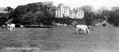 Cows graze in the field in front of Ardencaple Castle, the ancient seat of the Clan MacAulay. All but one tower of the building was demolished in 1957, and a naval housing estate was built on the site. Image c.1911.
