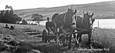 Harvest
Photograph taken c.1913 probably by keen amateur photographer Robert Thorburn, a Helensburgh grocery store manager. It shows harvesting on the hillside above Balernock or Shandon pier. Image supplied by David Clark from a collection of glass slides.
