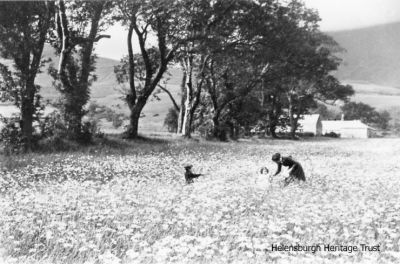 Fruin flowers
Photograph of his wife, Christina Graham from Rhu, and children Graham and Mabel picking flowers in Glen Fruin, taken c.1910 by keen amateur photographer Robert Thorburn, a Helensburgh grocery store manager.
