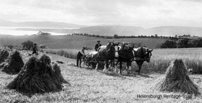 Harvesting
Harvesting a crop on the hillside above Helensburgh, with the Rosneath Peninsula in the distance. Image date unknown.
