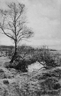 Mirror on the moor
An old image of a pond on the moor above Helensburgh, published by M.C.Robertson, West Clyde Street. Image circa 1921. The pond is still there today, on the third hole of Helensburgh Golf Club.
