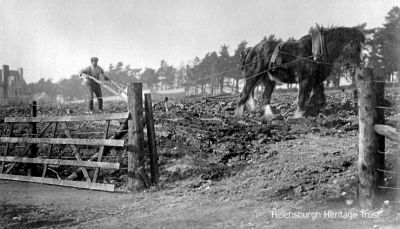 Burgh ploughing
This image of ploughing the then field to the east of the Charles Rennie Mackintosh mansion Hill House in Upper Colquhoun Street, Helensburgh, was kindly supplied by Frank Donald. It was taken around 1910 by his grandfather who lived round the corner at the top of Sinclair Street.

