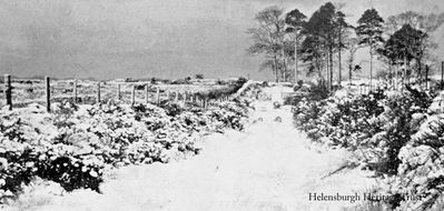 Old Luss Road
A 1909 Helensburgh image captioned: "The silent snow possess'd the Old Luss Road".
