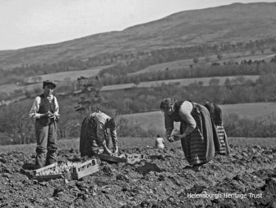 Planting season
Photograph taken c.1913 probably by keen amateur photographer Robert Thorburn, a Helensburgh grocery store manager. It shows planting on Duirlands Farm, Glen Fruin. Image supplied by David Clark from a collection of glass slides.

