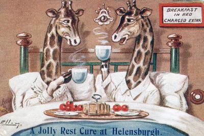 Rest Cure
A novelty card sent by Auntie Ida in Ardenconnel, Rhu, to her niece Joan Walters in Bowdon, a village in Trafford, Manchester. Date unknown.
