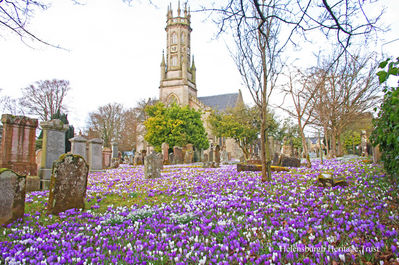 Rhu Parish Church
Snowdrops and crocuses in the churchyard of Rhu Parish Church in March 2010. Image taken and supplied by the Rev David Clark, former minister of what is now Helensburgh Parish Church.
