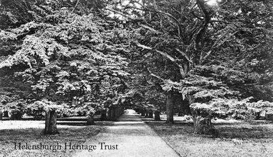 Yew Tree Avenue
Yew Tree Avenue in Rosneath, circa 1910.
