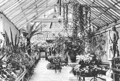Shandon Hydro Conservatory
The Conservatory at Shandon Hydropathic Hotel. Originally West Shandon, this magnificent building was the home of Robert Napier, the greatest figure in Clyde shipbuilding and marine engineering in the mid-19th century. During World War One the Hydro became a hospital, and in World War Two it was used by the army. In 1951 it became a hotel again, but in 1957 it was closed and demolished. From the image collection of the late Nan Moir, of Cove.
